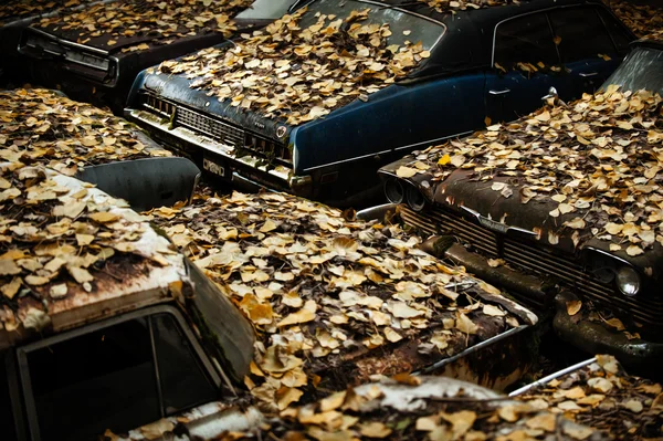 Carros cobertos por folhas — Fotografia de Stock