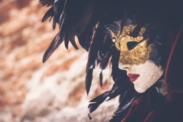 Венеція карнавальні маски Стокове Зображення