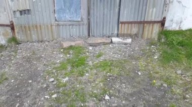 Djupavik -: Westfjords, Iceland