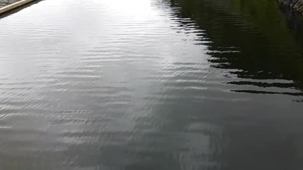 Övergivna pool Seljavallalaug, Island — Stockvideo