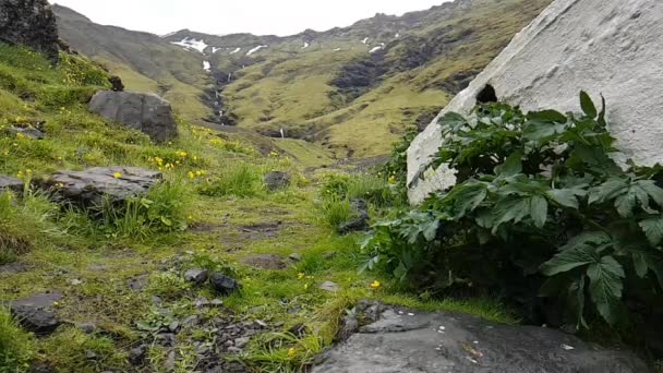 放棄されたプール Seljavallalaug、アイスランド — ストック動画