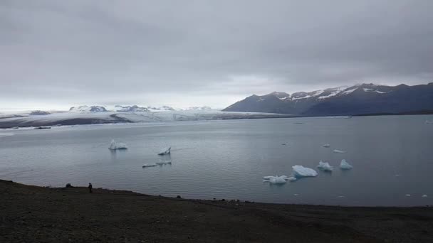 Glaciärlagunen - sydöstra Island — Stockvideo