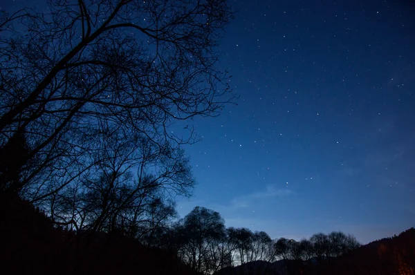 Photos of the night sky — Stock Photo, Image