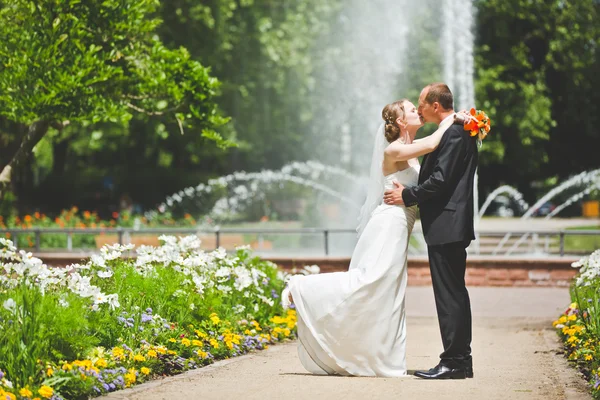 Attraente sposo e sposa bacio — Foto Stock