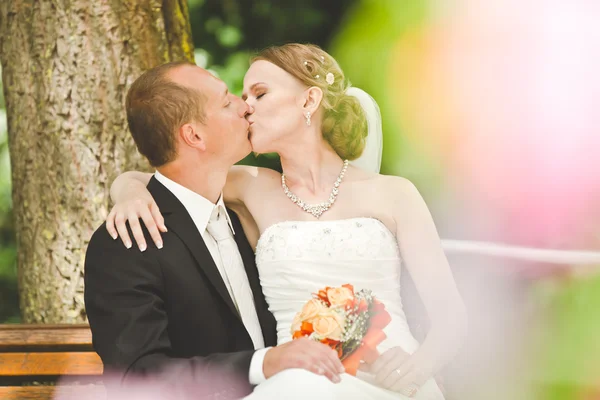 Attraente sposo e sposa bacio — Foto Stock