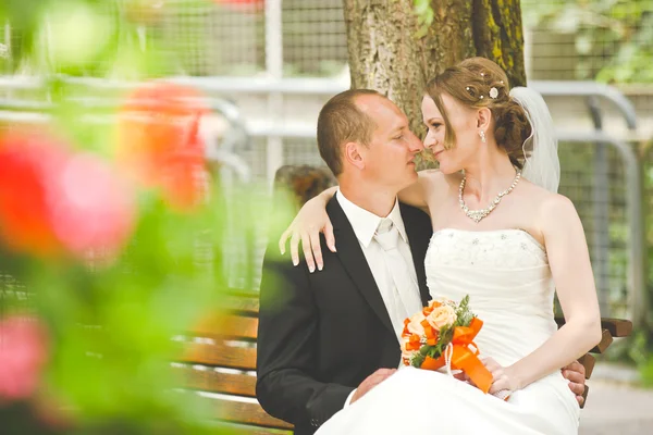 Felice sposo e sposa si guardano — Foto Stock