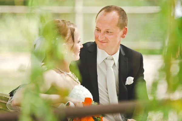 Felice sposo e sposa si guardano — Foto Stock