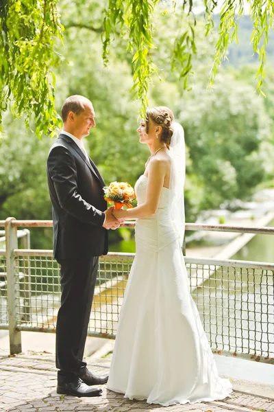 Krásný ženich a nevěsta držet se za ruce — Stock fotografie