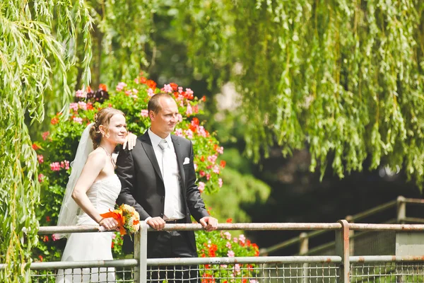 Elegancka panna młoda i pan młody pozują razem na świeżym powietrzu w dniu ślubu Zdjęcie Stockowe