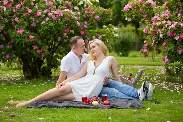 Cute para picie czerwonego wina na piknik uśmiecha się do siebie w słoneczny dzień — Zdjęcie stockowe