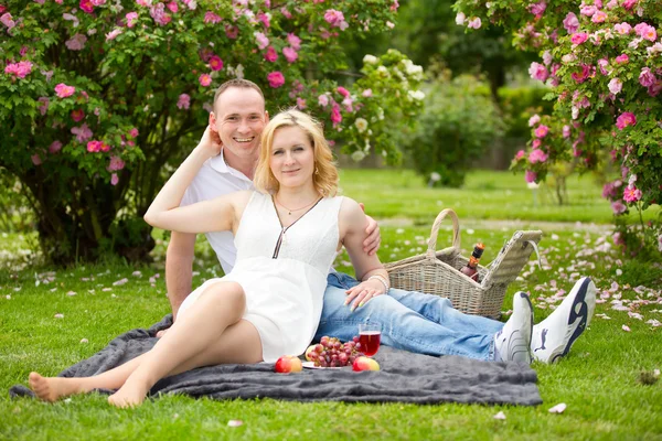 Cute para picie czerwonego wina na piknik uśmiecha się do siebie w słoneczny dzień — Zdjęcie stockowe