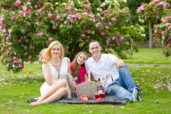 Joven familia feliz teniendo picnic al aire libre — Foto de Stock