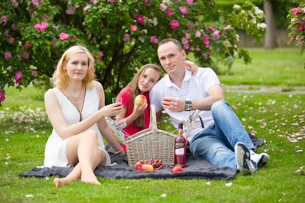 Joven familia feliz teniendo picnic al aire libre — Foto de Stock