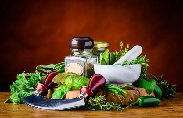 Albahaca verde, salvia, menta y romero — Foto de Stock