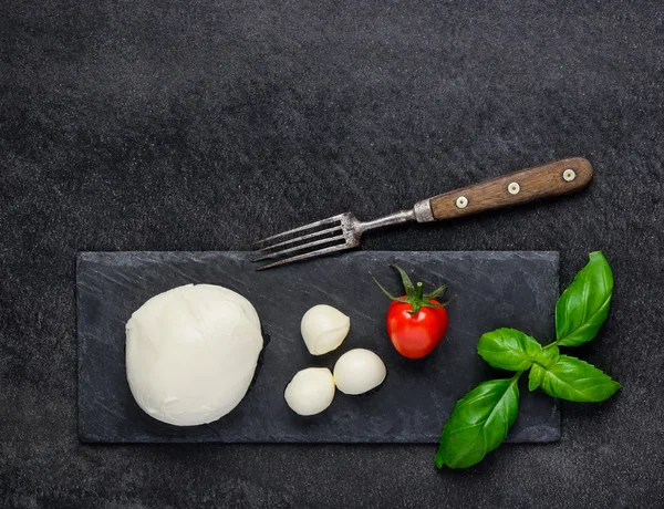 Queijo Mozzarella suculento fresco e espaço de cópia — Fotografia de Stock