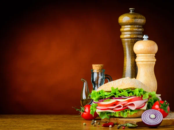 Burger con cipolla, pomodoro e spezie e spazio copia — Foto Stock