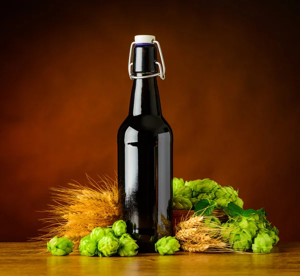 Beer Bottle with Hops and Wheat — Stock Photo, Image