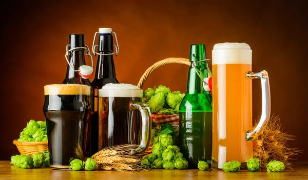 Diferentes tipos de cerveja e ingredientes de cerveja — Fotografia de Stock