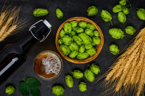 Cerveja Ingredientes cervejeiros. Lúpulo e Trigo — Fotografia de Stock