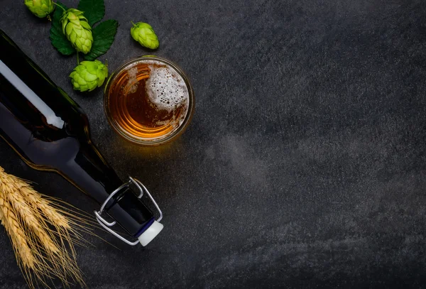 Öl med humle och vete och kopia utrymme — Stockfoto