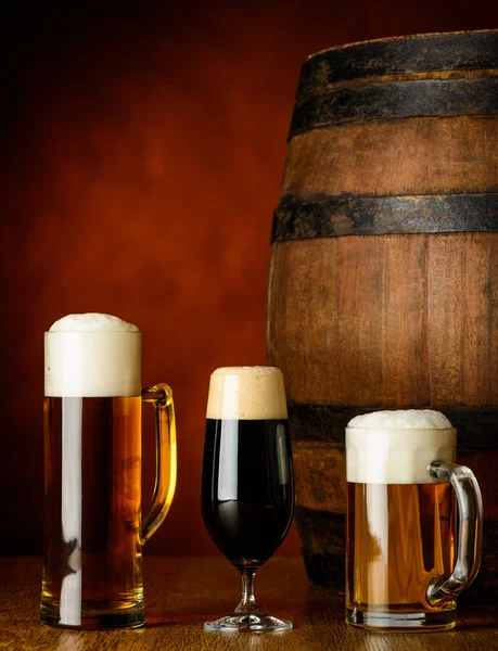 Tipos de árvores de cerveja — Fotografia de Stock