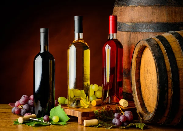 Bottiglie di vino in cantina — Foto Stock