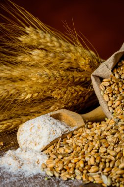 Ekmek pişirme malzemeleri