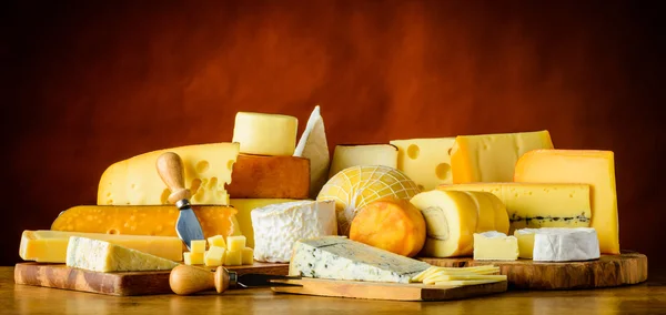 Cheese in Still Life — Stock Photo, Image