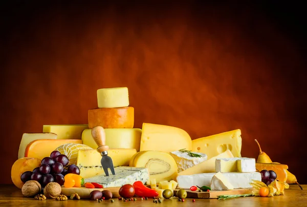 Fromage dans la vie malade — Photo