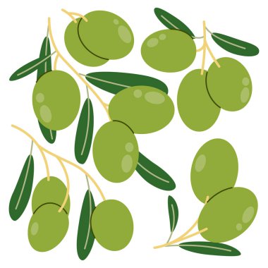 Yapraklı Yeşil Zeytin Dalları