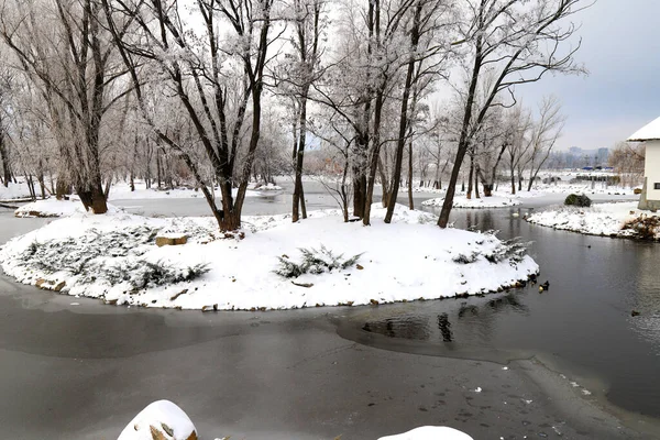 Winter water landscape. Trees covered with snow and frost stand on the banks of a picturesque river, pond, lake, forest or park on cold, frosty winter day.