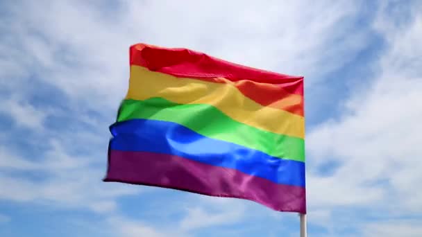 Drapeaux Fierté Lgbt Pour Lesbiennes Gays Bisexuels Personnes Transgenres Agitant — Video