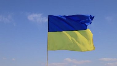 Ukrayna 'nın büyük ulusal bayrağı mavi gökyüzünde dalgalanıyor. Büyük sarı Ukrayna bayrağı Bağımsızlık, Bayrak, Anayasa Günü, Ulusal Bayram boyunca dalgalanır