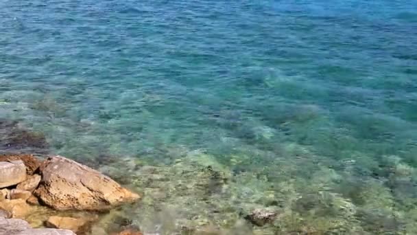 Klares Wasser Plätschert Einem Ökologisch Sauberen Sommerstrand Herceg Novi Montenegro — Stockvideo