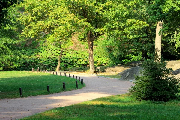 Fundo Verde Floresta Árvores Caducifólias Coníferas Pitorescas Parque Paisagístico Uman — Fotografia de Stock