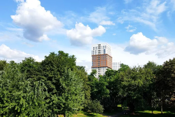 Parc Avec Des Arbres Verts Grands Bâtiments Gratte Ciel Dans — Photo