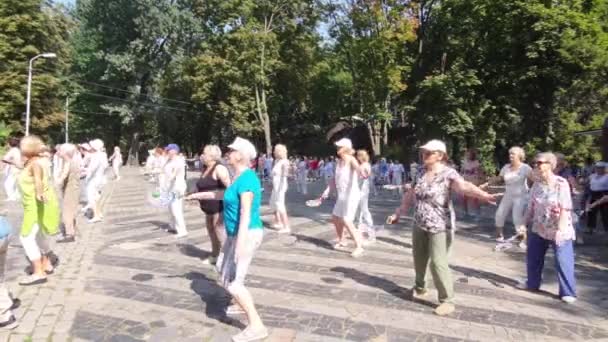 Femmes Âgées Faisant Des Exercices Sportifs Extérieur Les Retraités Sont — Video