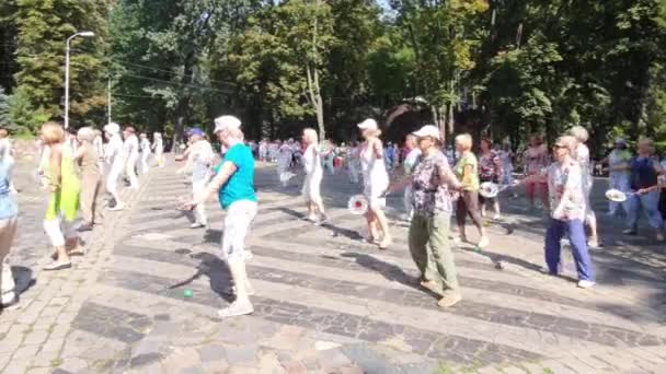 Ältere Frauen Beim Sport Freien Rentner Betreiben Chinesische Playstick Gymnastik — Stockvideo