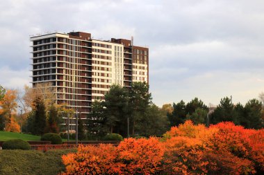 Sarı portakal ağaçları ve kırmızı yaprakları olan güzel bir sonbahar parkı, binalar, evler, apartmanlar, lüks gayrimenkuller. Dnipro, Ukrayna 'da sonbahar sokakları