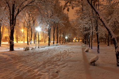 Kış akşam sokakta kar yağışı.