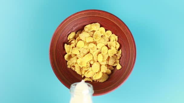 Leche vertida sobre los cereales — Vídeos de Stock