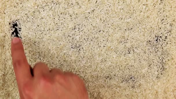 Men hand draws word food on the surface of rice — Stock Video