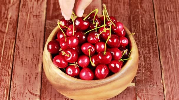 Une main mans prendre des cerises mûres rouges dans un bol en bois sur une table en bois — Video