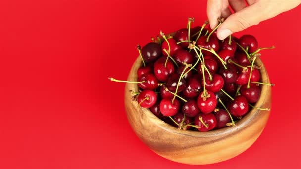 Мужчины руки взять красные спелые вишни в деревянной чаше на красном фоне — стоковое видео