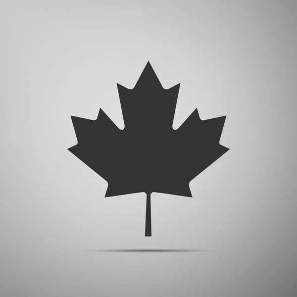 Ícone de folha de bordo canadense no fundo cinza. Adobe ilustrador —  Vetores de Stock
