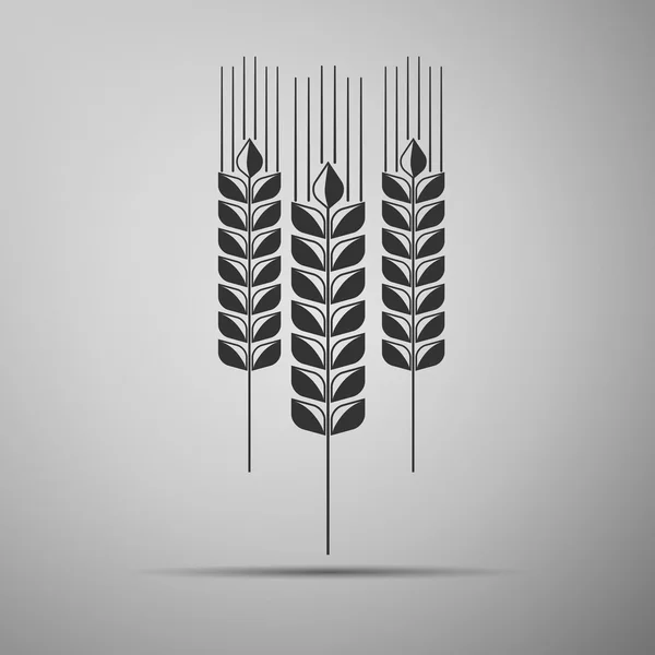 小麦の耳のアイコン. — ストックベクタ