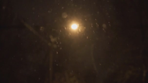 Beleuchtete Laterne in der Nacht und Schnee fällt im Winter — Stockvideo