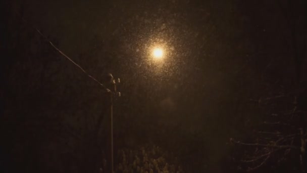 Αναμμένο φανάρι τη νύχτα και το χιόνι που πέφτει τον χειμώνα — Αρχείο Βίντεο