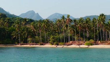 Palm trees fringing sandy wai chaek shoreline, revealing peaceful coastal landscape