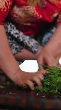 Uzman Çay Çiftçisi Yerdeki Geleneksel Wicker Tepsisinde Taze Seçilmiş Yeşil Çay Yapraklarını Dikkatle Seçip Kurutuyor - FullHD Dikey